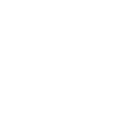 Manages Chronic Conditions